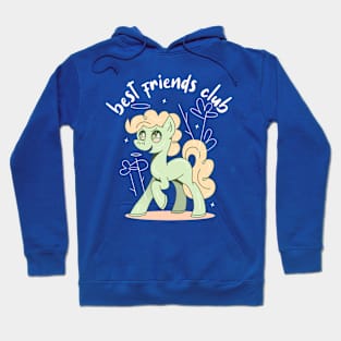 Cute Little Pony Best Friends Hoodie